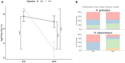 Different behavioral strategies of two sympatric seahorses: habitat availability and increased density of Hippocampus guttulatus alter the behavior of Hippocampus hippocampus